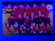 Equipe d'Espagne, 2010